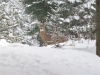 Picture 1 from Jason Soucy