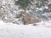 Picture 2 from Jason Soucy