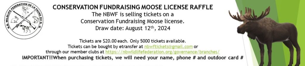 NBWF Conservation Fundraising Moose License Raffle