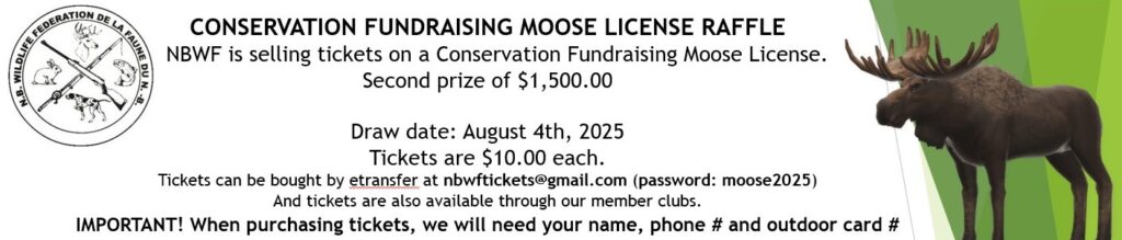 2025 NBWF Moose License Raffle